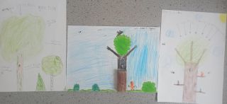 IMG_20220211_132521~2_copy_768x1663_copy_1663x768